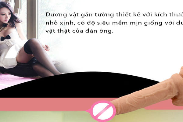 dương vật giả silicon gắn tường mềm mịn