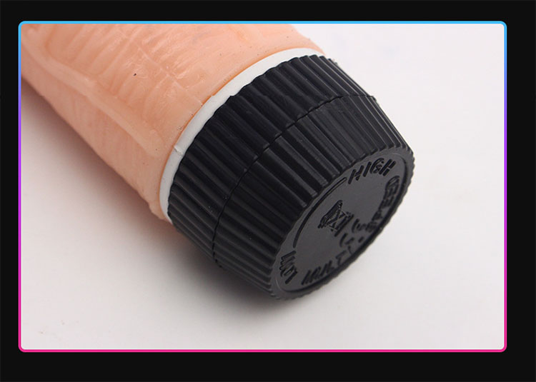 sextoy Dương Vật Giả Có Rung 099F (5)